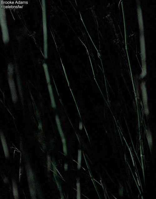 Brooke Adams in a nude scene from Invasion of the Body Snatchers (1978)