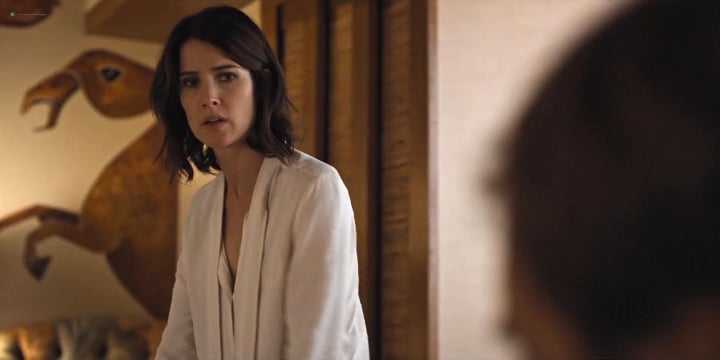 Cobie Smulders’ Steamy Nude Scene Celebration on Her Birthday