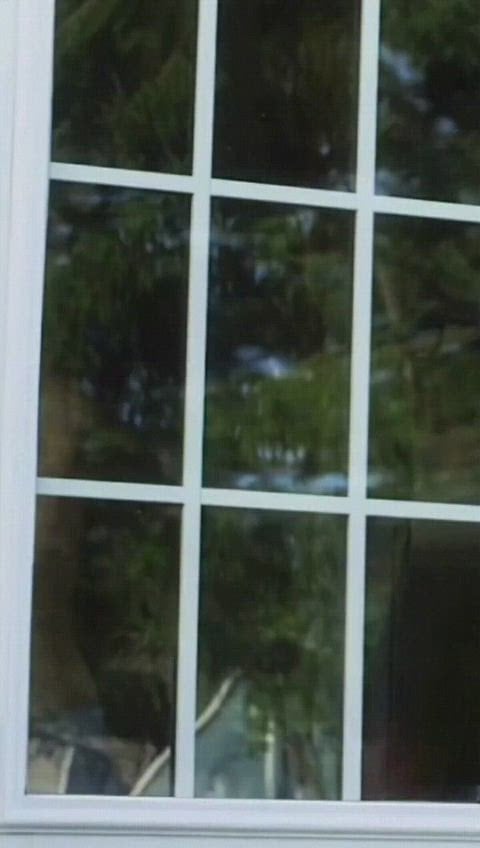 Elizabeth Masucci’s Stunningly Sexy Moments Unleashed