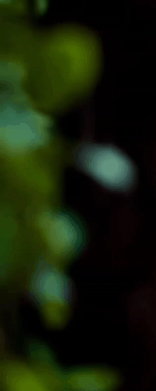 Nikita Dutta’s hot appearance in her latest movie.