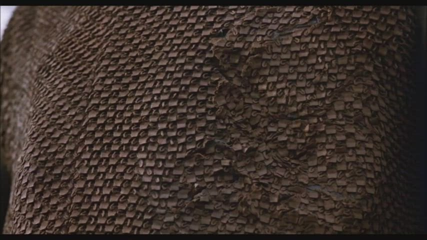 Roxanne Kernohan in a nude scene from Critters 2 (1988)