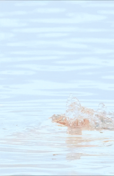 Sunny Leone’s Sizzling Nude Scene in Her Latest Hot Movie