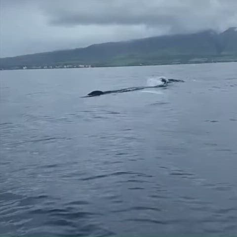 Nikki Glaser’s Hot Ass Steals the Show in Sultry Clips