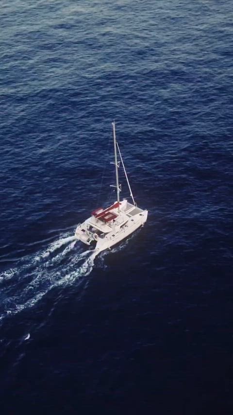 Esha Gupta’s sizzling hot nude scene in her latest film