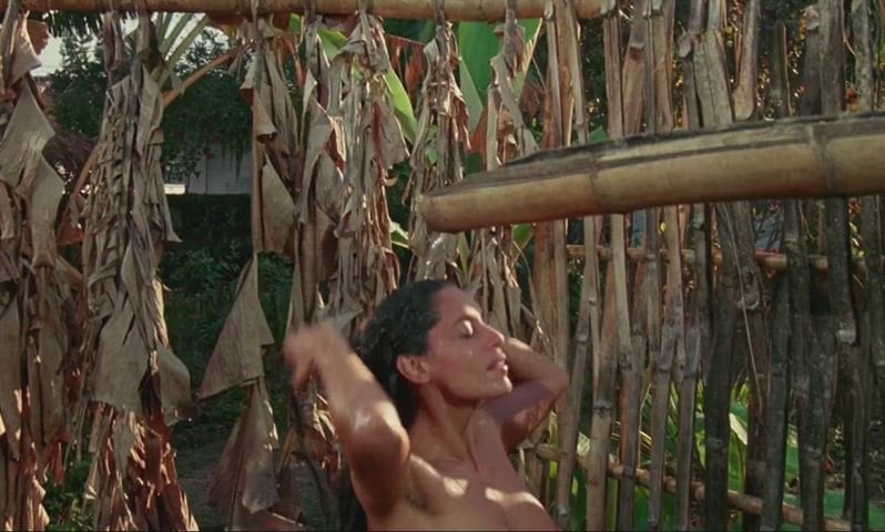 Sônia Braga’s nude scene in Gabriela, Cravo e Canela (1983)