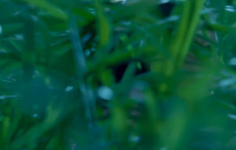 Ameesha Patel’s hot nude scene in her latest movie is truly sizzling