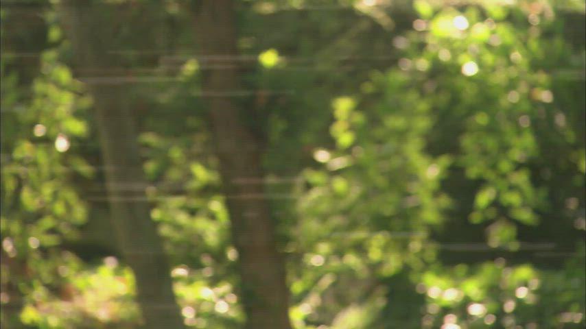 Ludivine Sagnier Sizzles in a Sexy Scene from La Petite Lili (2003)