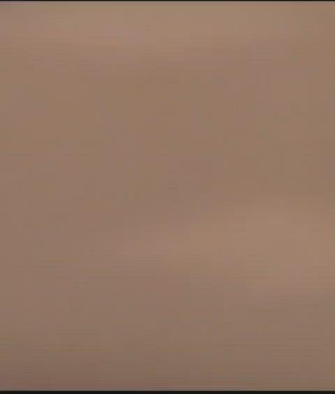 Sharon Stone’s Sexy Curves Shine in Provocative Ass Showcase