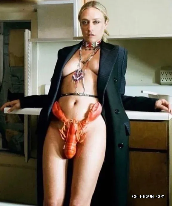 Chloë Sevigny: Hot and Sexy Thighs Photo Collection