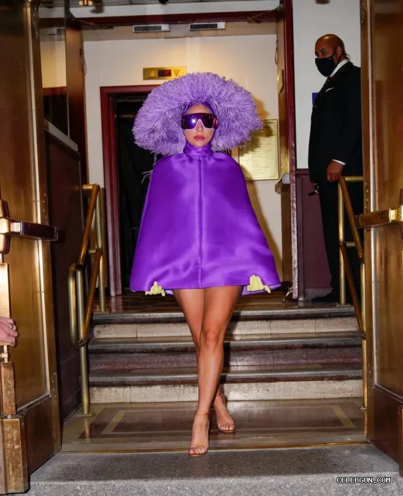 Lady Gaga's Hot and Sexy Leg Photo Collection